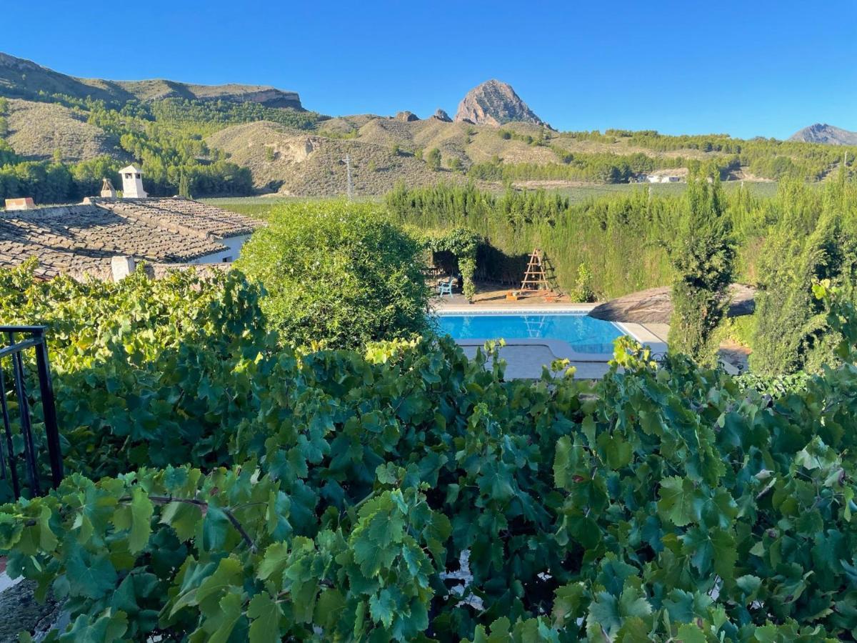 Casas Rurales El Cabezo De La Torre Villa Cieza Kültér fotó